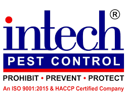 Mosquitoes Pest Control in Gurugram